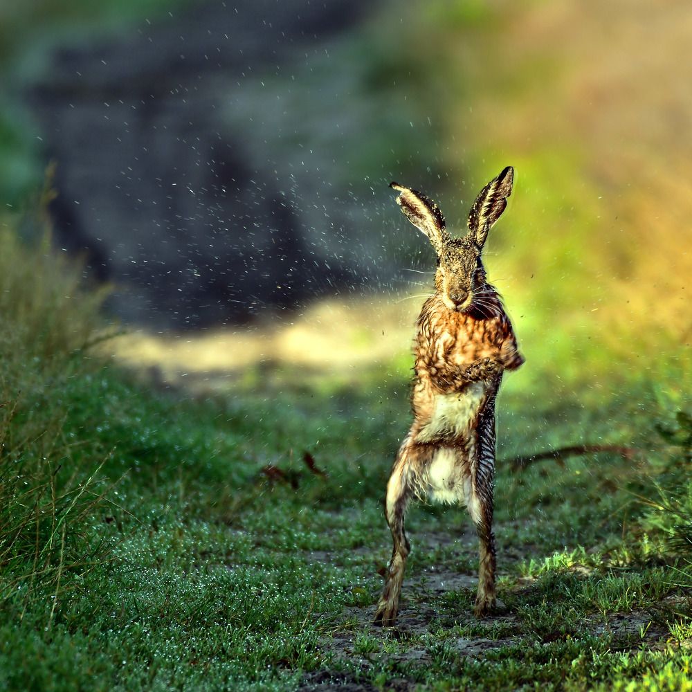 Photograph by Verboven kevin