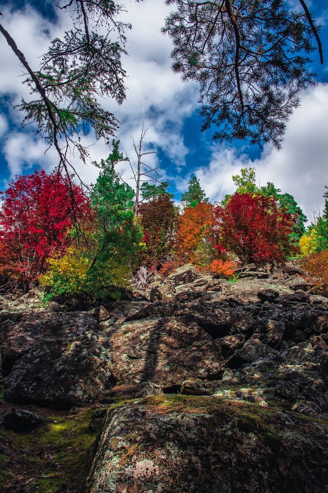 Photograph by Денис Шмаков