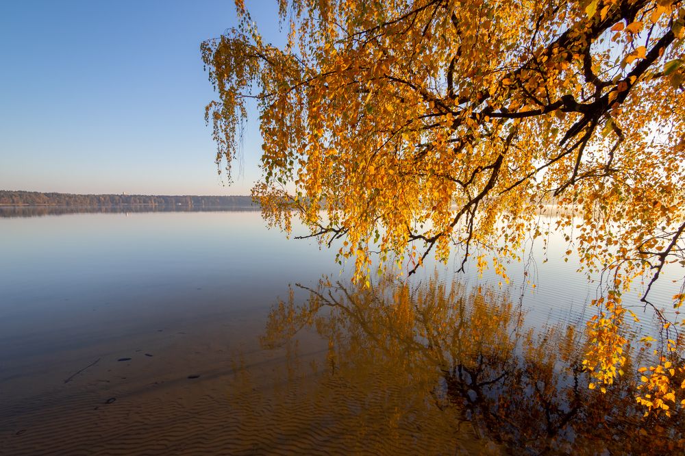 Photograph by Владимир Машко