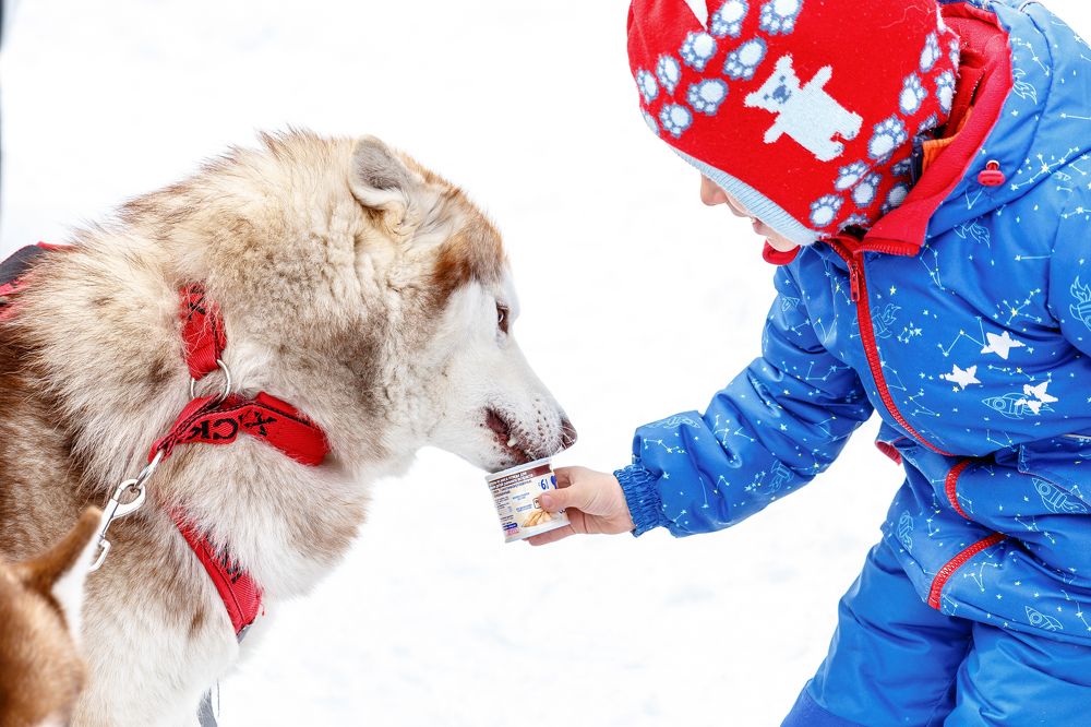 Photograph by Максим Иванов