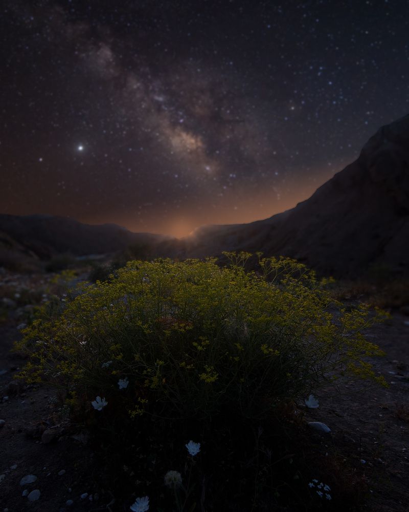 Photograph by Karrar Issawi