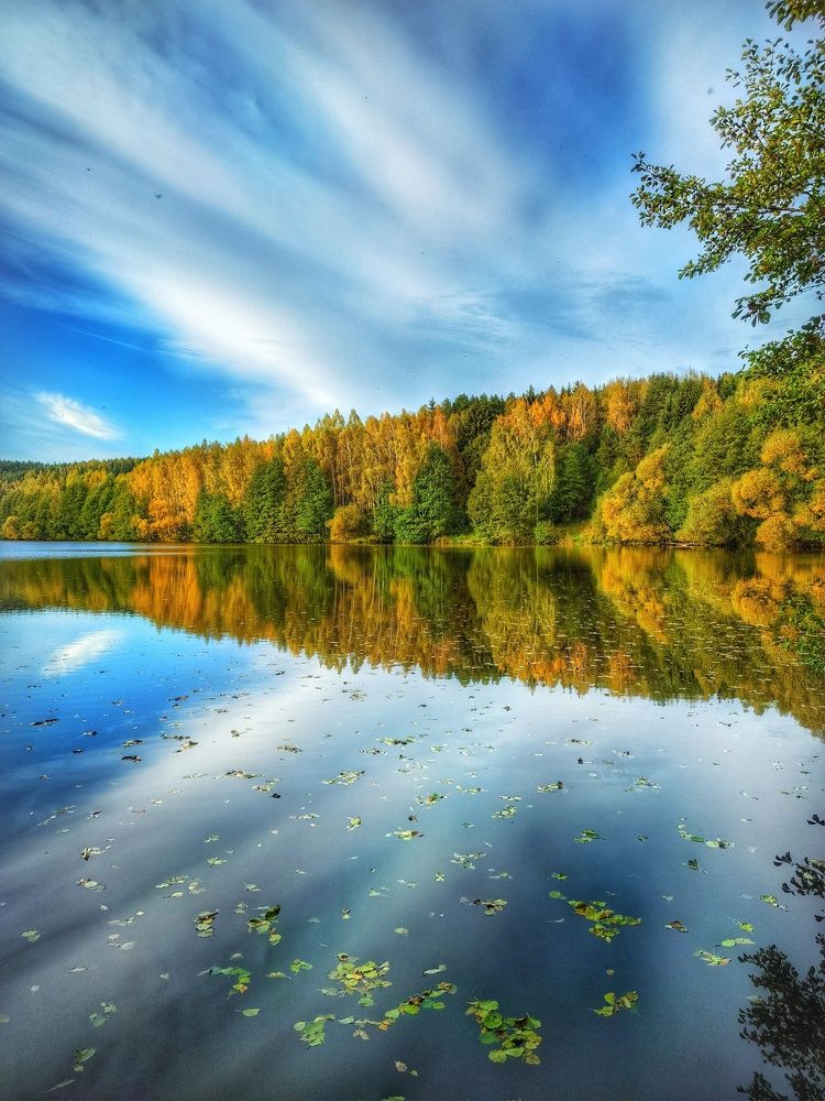 Осенний пейзаж в отражении