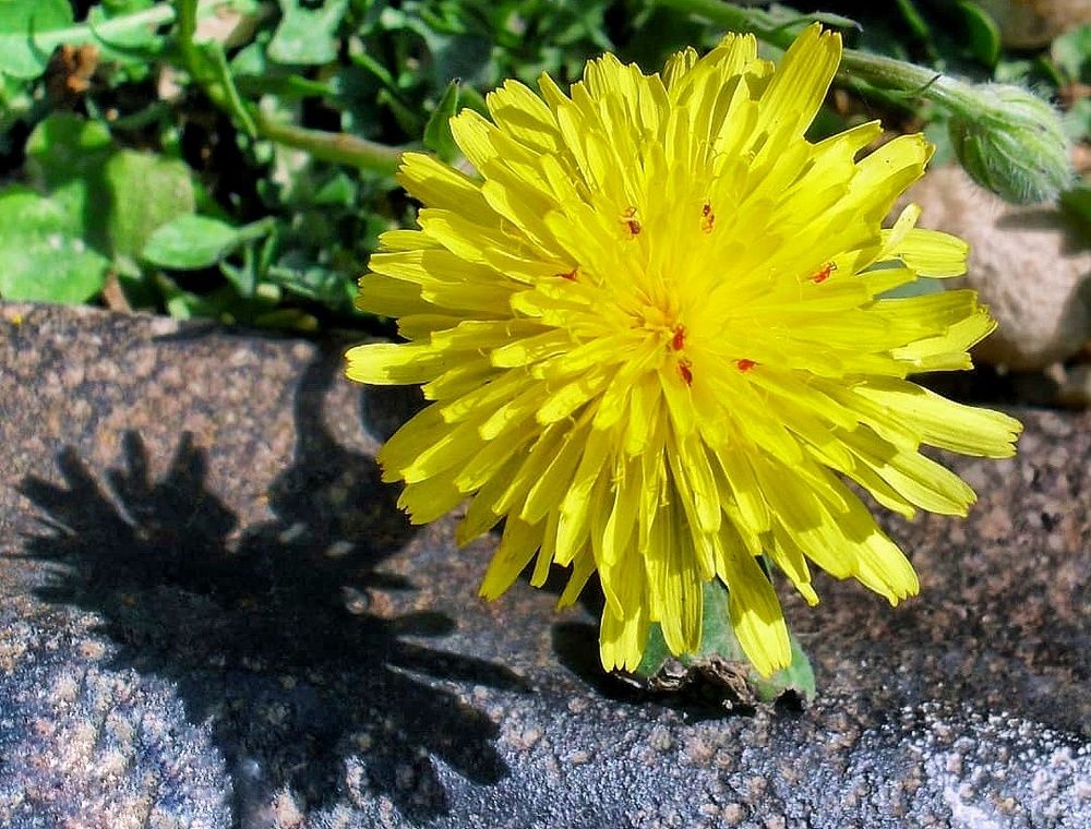 Photograph by Amin Golestanipour
