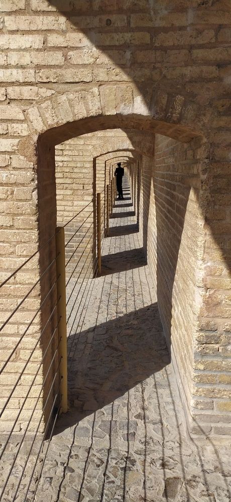 Photograph by Amin Golestanipour
