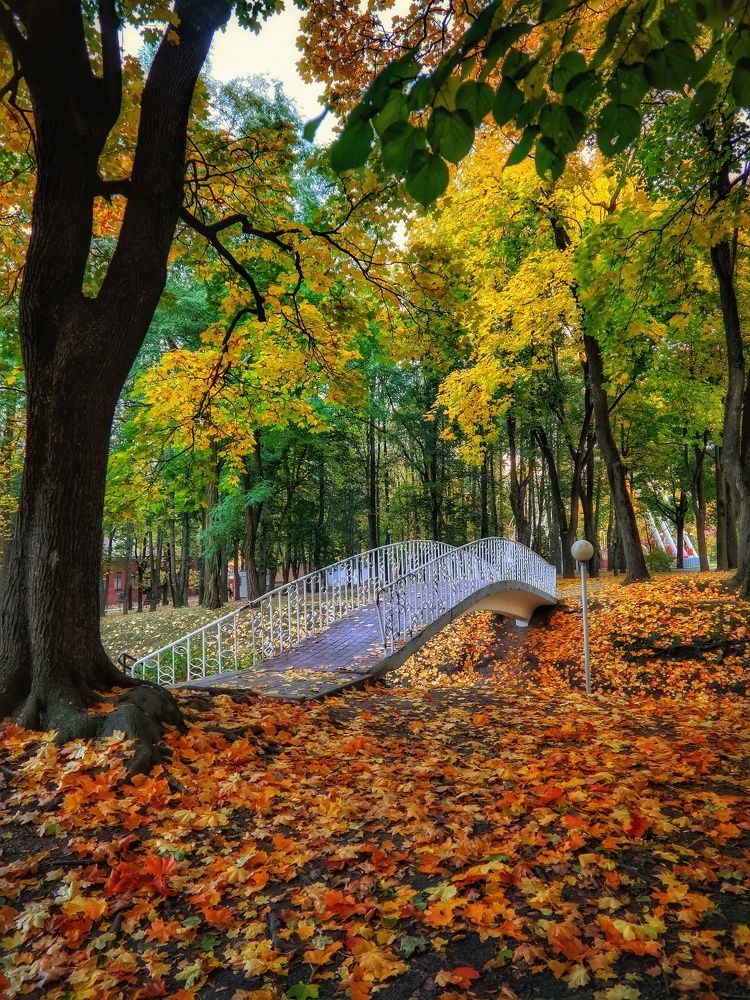 Photograph by Vladimir Sharuba