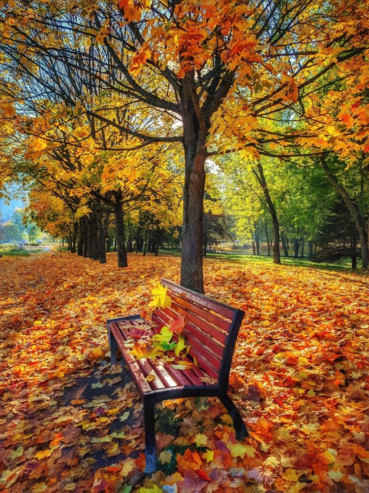 Photograph by Vladimir Sharuba