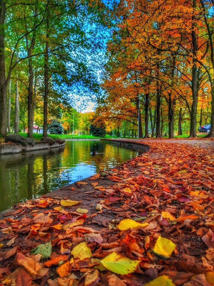 Photograph by Vladimir Sharuba