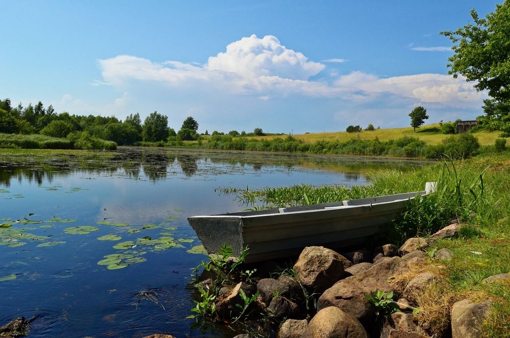 Photograph by Цветков Владимир