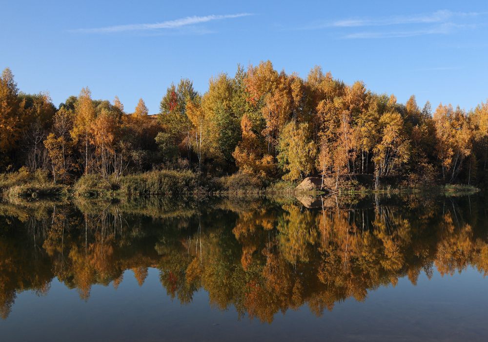 Звуки...тишины