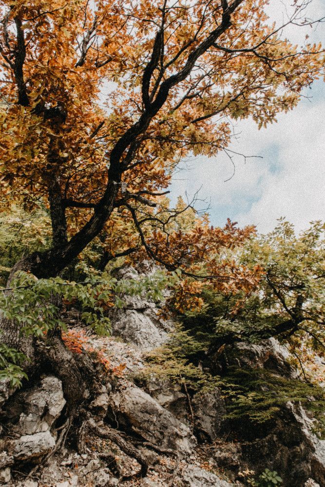 Photograph by Ольга Солодилова