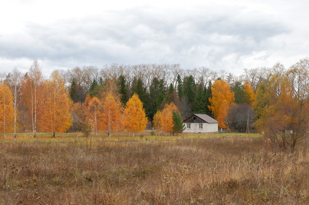 Вятская осень