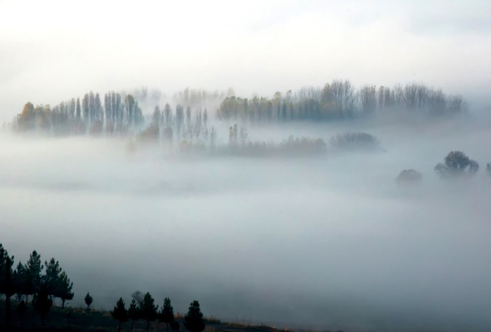 Photograph by Mehmet Kılıcoğlu