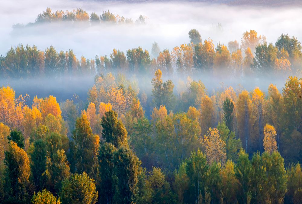 Photograph by Mehmet Kılıcoğlu