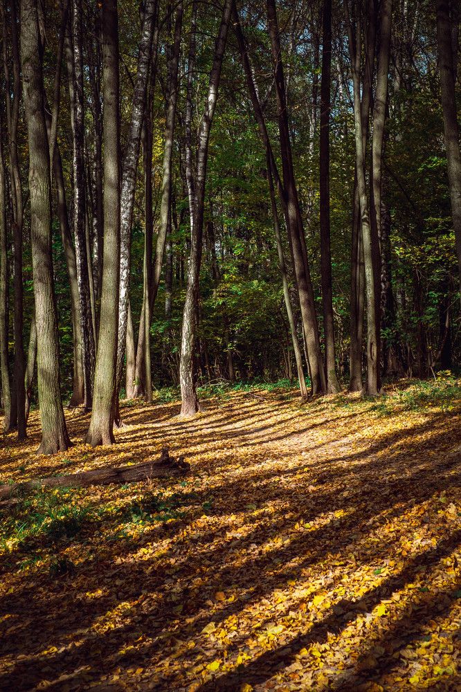 Photograph by Tatiana Potapenko