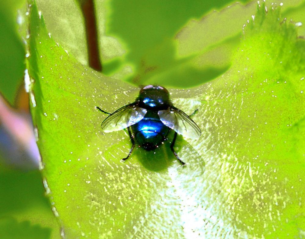 Photograph by Николай Почкалов