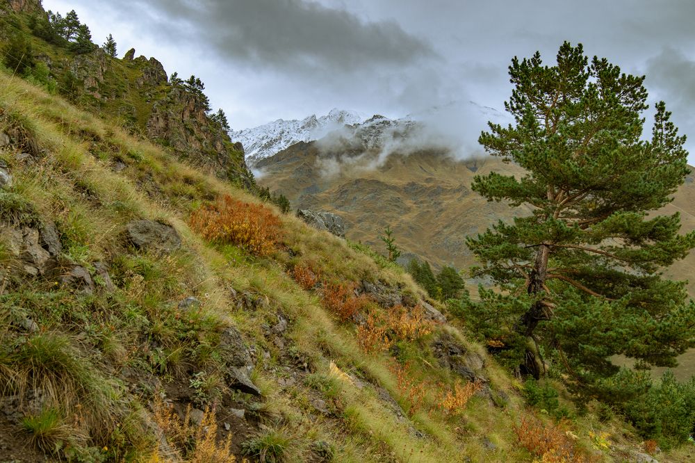 Photograph by Алексанр Приезжев