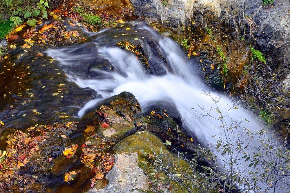 Фотография автора Маис Киракозов