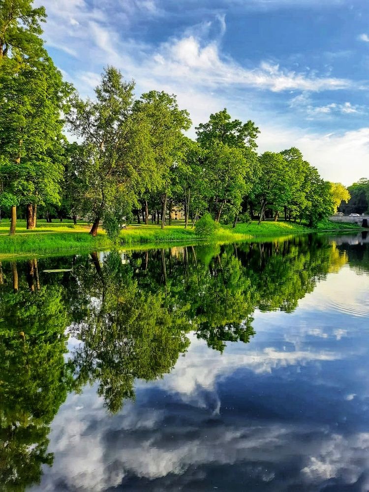 Photograph by Светлана Попова