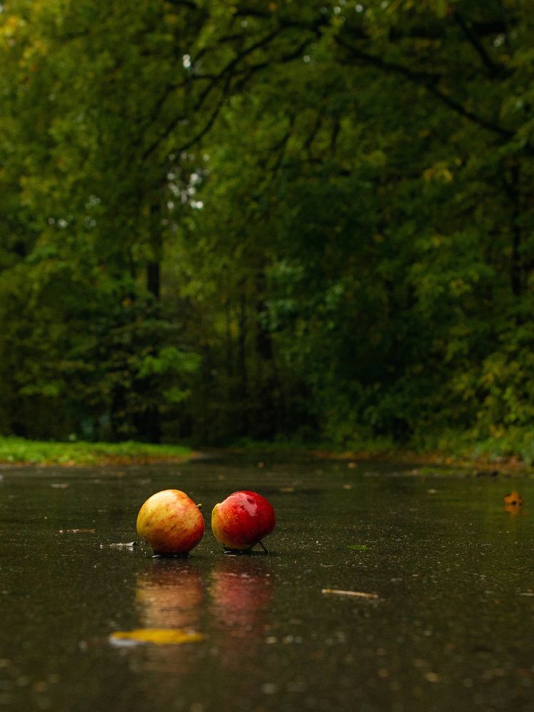 Photograph by Сергей Басов