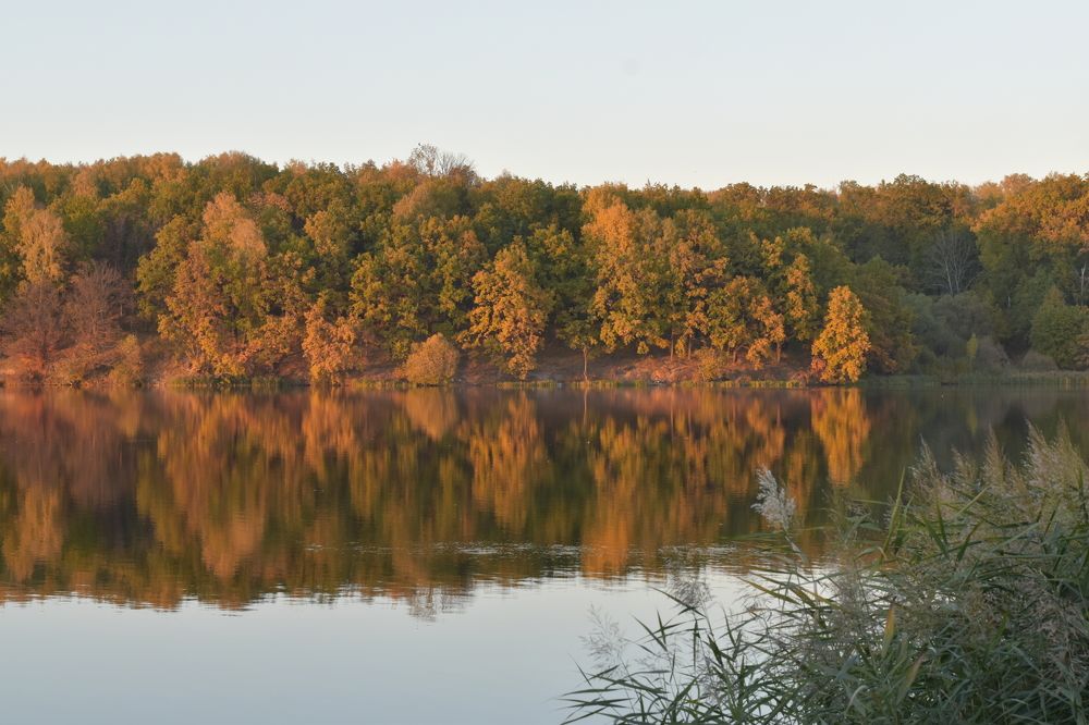 Photograph by Александр Костин