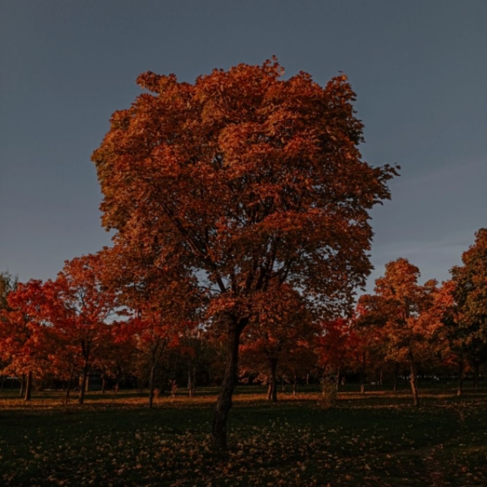 Photograph by Анна Подашевская