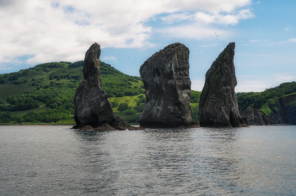 Photograph by Александр Зеленов