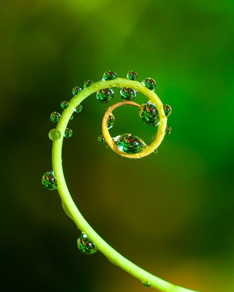 Photograph by Наталья