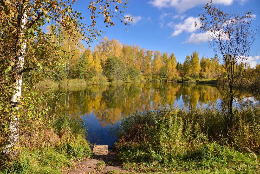 Photograph by Юрий Бичеров