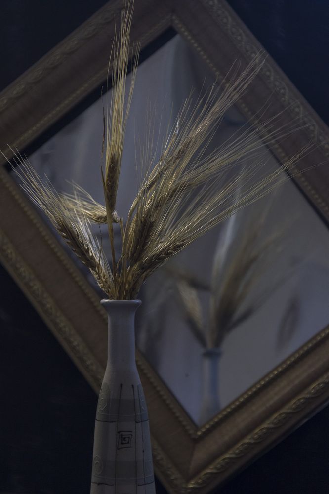 Photograph by Anna Gapanovich