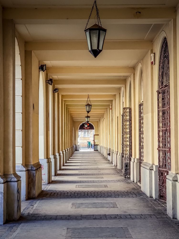 Photograph by Елена Башмакова