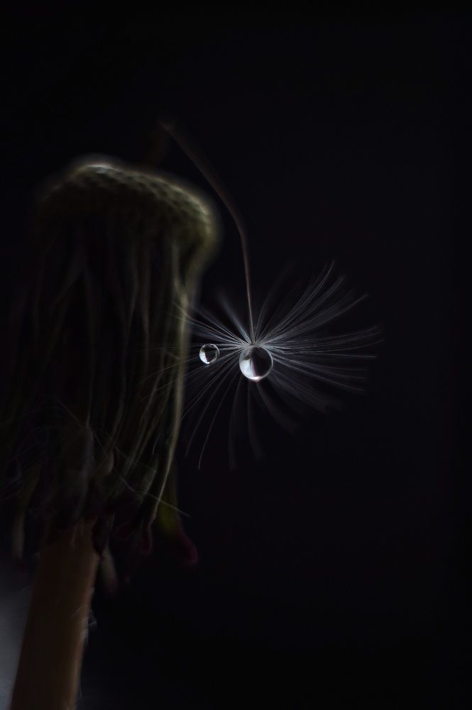 Photograph by Наталья Шленкина