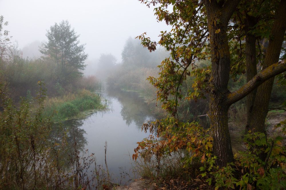 Фотография автора Валерий Лушин