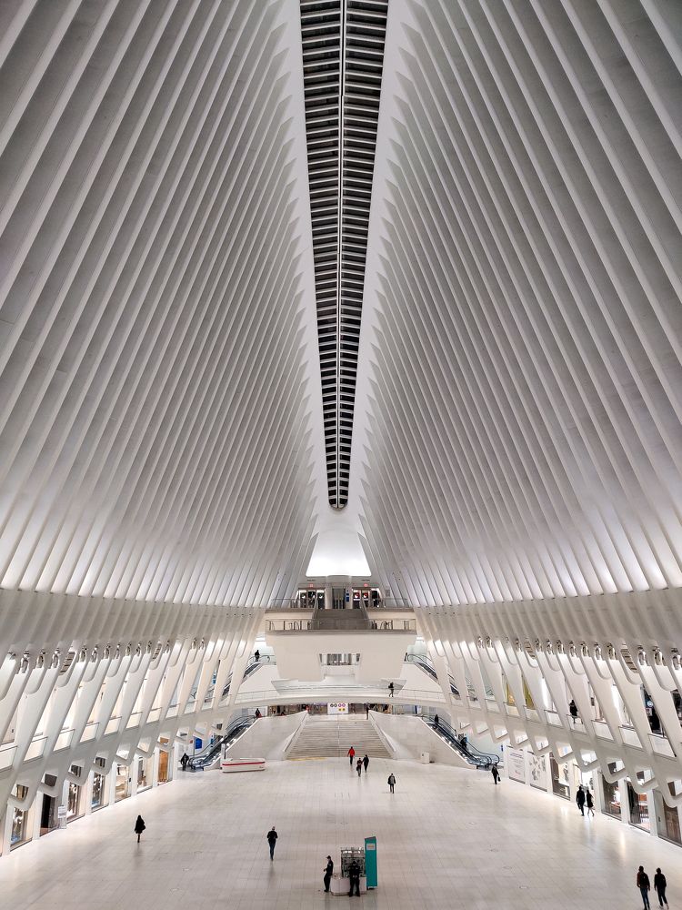 Photograph by Елена Башмакова