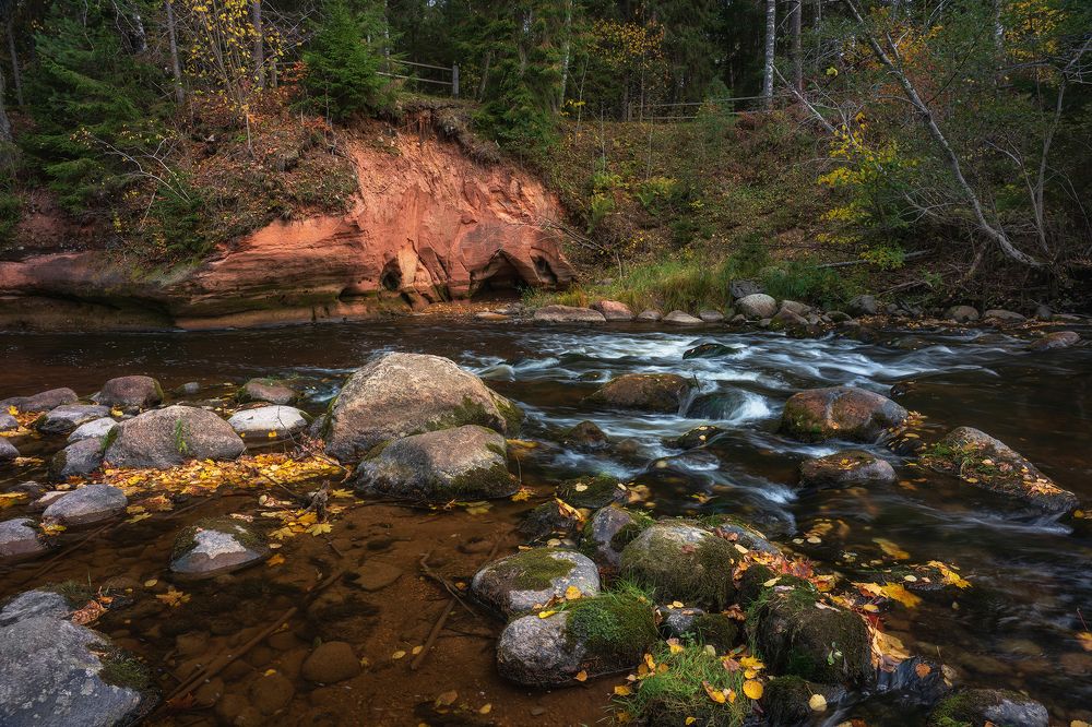 Photograph by Dace Spalviņa