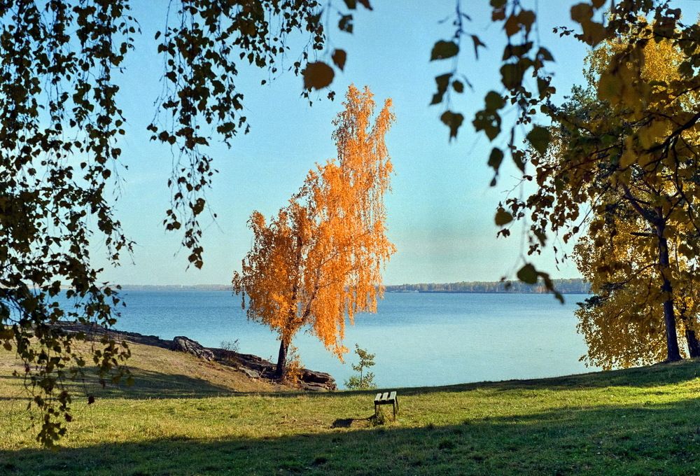 Photograph by Олег Еловиков