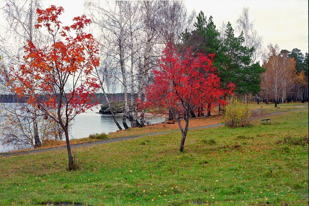 Photograph by Олег Еловиков