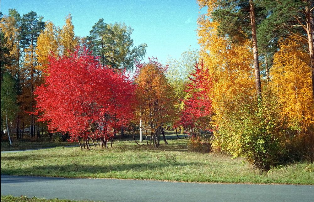 Photograph by Олег Еловиков