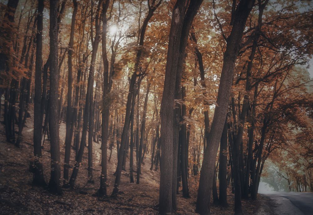 Photograph by Ольга Остапенко