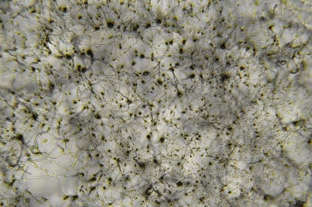 Photograph by Алексей Труханович