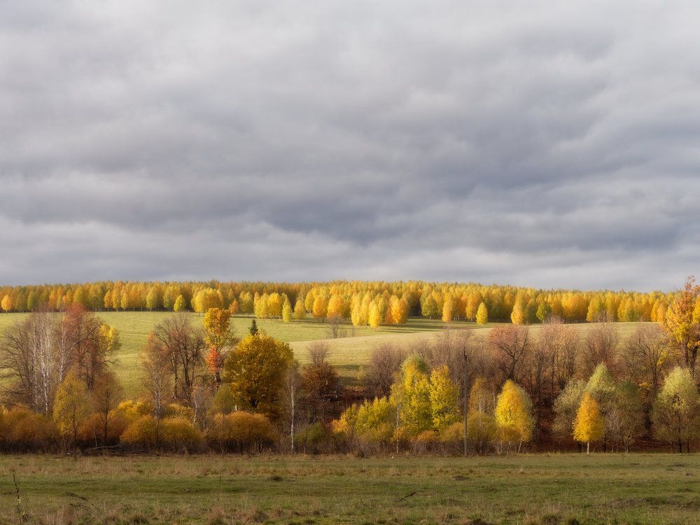 Photograph by Алексей Львов