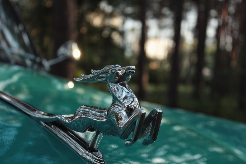 Photograph by Александр Волков