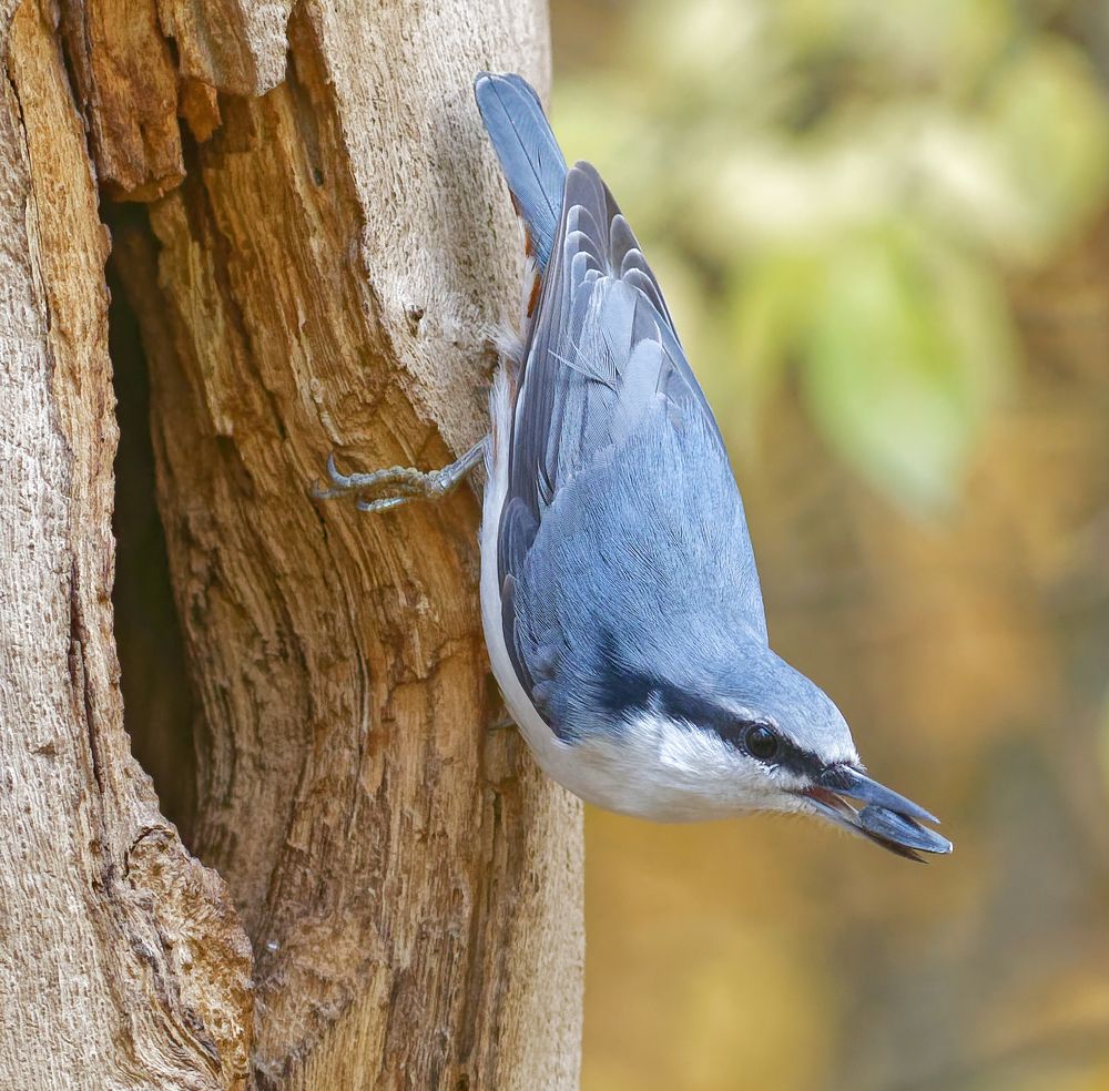 Photograph by  Alexey