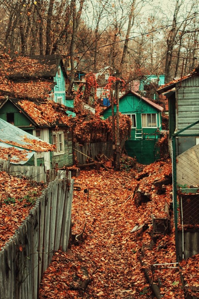 Photograph by Александр Волков