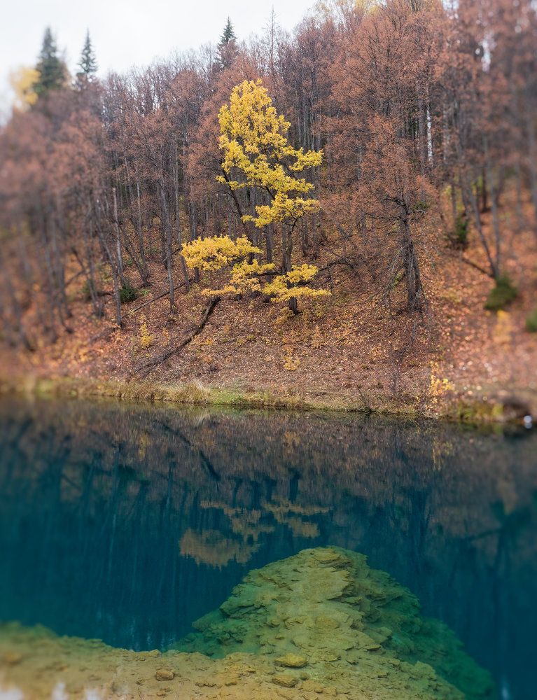 Photograph by Алексей Львов