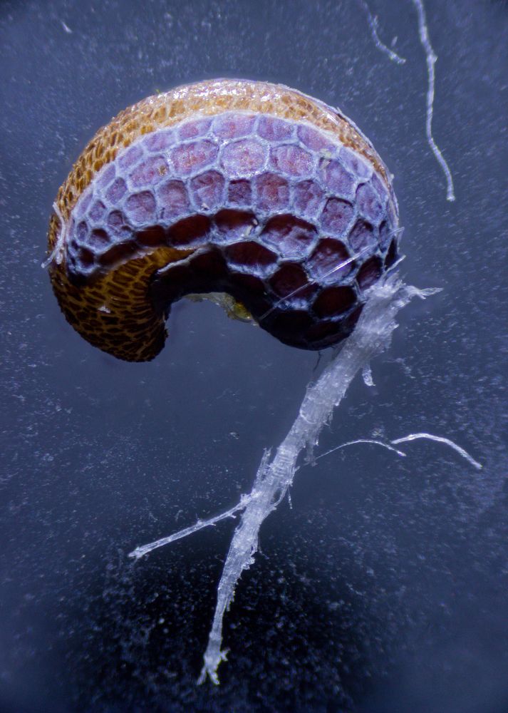 Photograph by Алексей Труханович