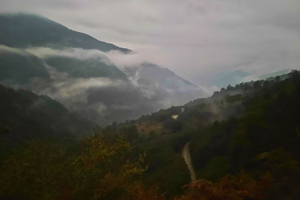Photograph by samaneh jamali