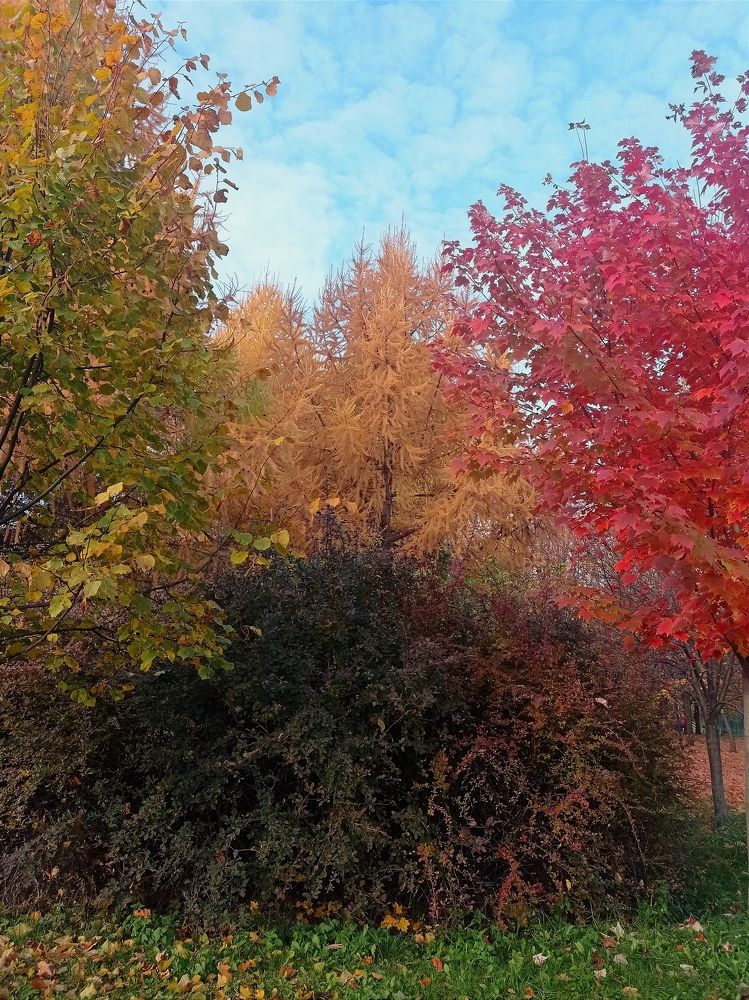 Фотография автора Ольга Савочкина