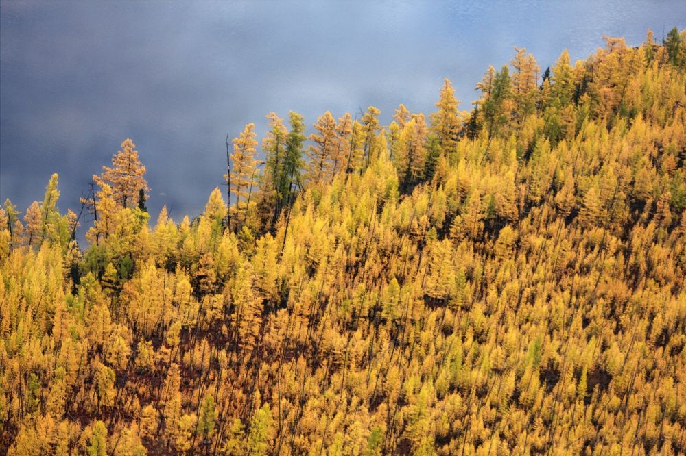 Photograph by Сергей Подунаев