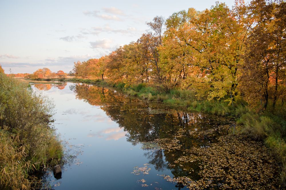 Photograph by Мария Яровая