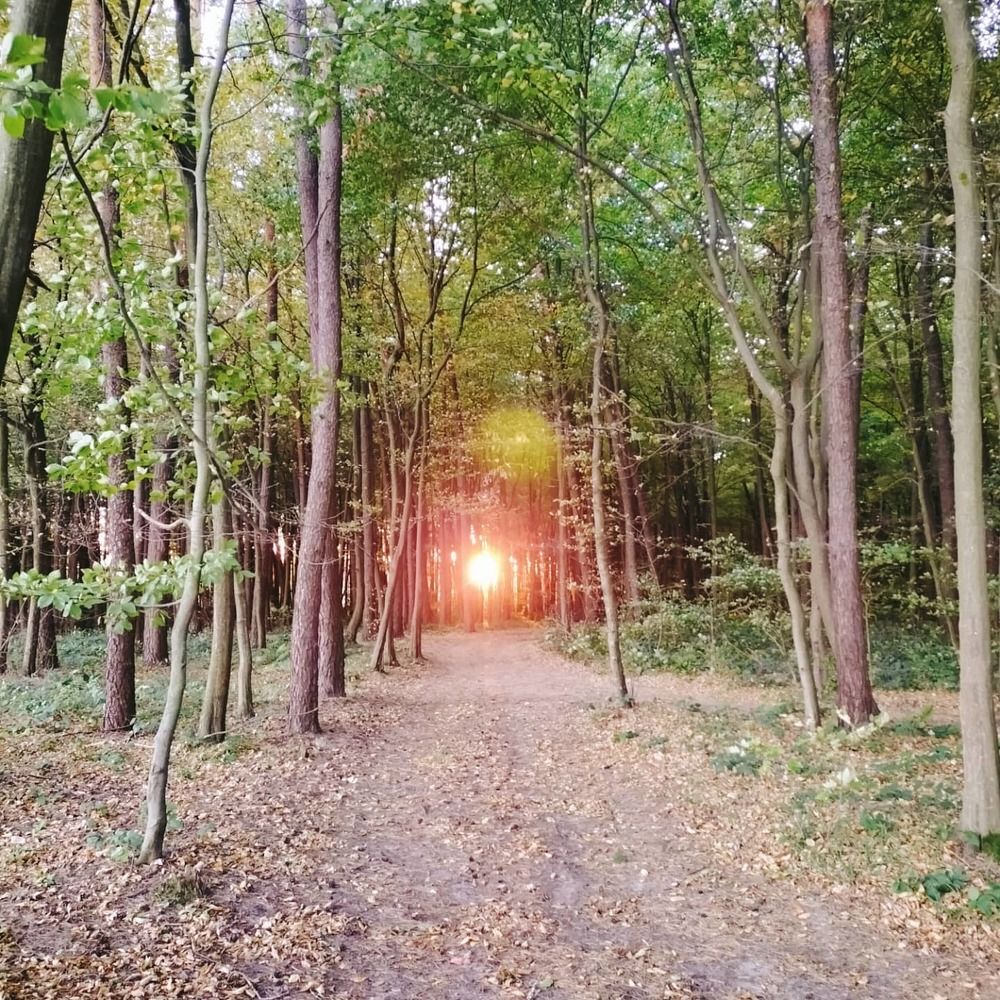 Photograph by Христина Смолий